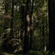Bigfoot country.